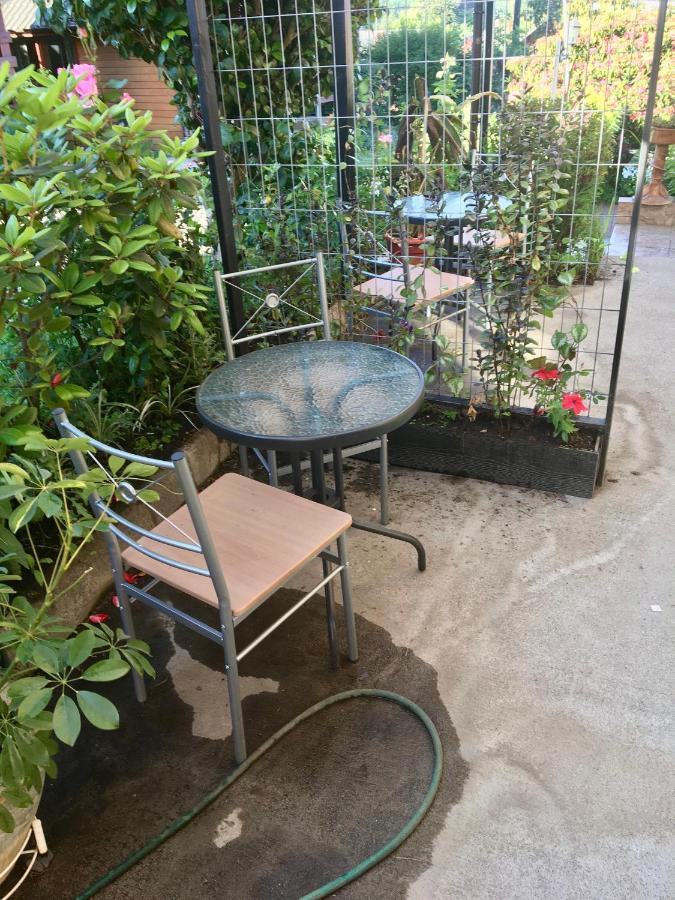 Cabanas El Galo Panguipulli Eksteriør billede